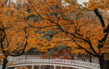 TRẢI NGHIỆM TÀU CAO TỐC KTX TUYẾN BUSAN - SEOUL 6N5Đ